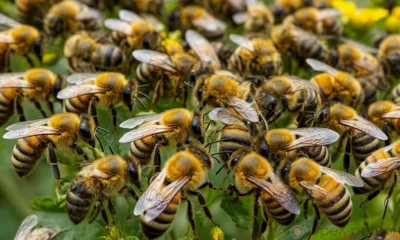 Компас в мире вопросов