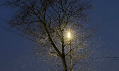 Школы районов Орловщины переходят на дистанционку из-за надвигающегося снегопада