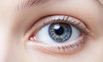 Врач-офтальмолог рассказала «Орловской правде» о влиянии современного цифрового мира на здоровье глаз