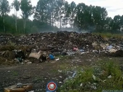 В Орловской области с начала года ликвидировано девять несанкционированных свалок