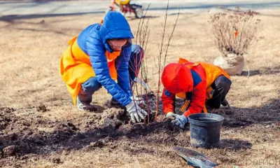 Известны даты орловских общегородских субботников