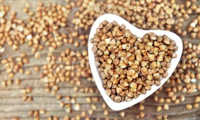 Орловская область экспортировала более 160 тонн гречневой крупы в Беларусь, ЛНР и Молдову