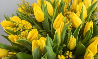 В Орле состоится цветочная выставка «Весеннее настроение»