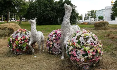 Стала известна тема фестиваля цветов «Стрелка» в Орле