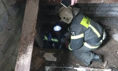 Орловские спасатели вытащили из трёхметровой ямы собаку