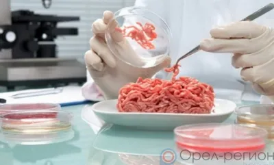 В Орловской области руководитель ООО «Союзпродторг» подозревается в мошенничестве