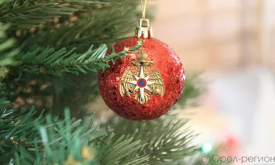 На Орловщине сотрудники МЧС проводят операцию «Новый год»