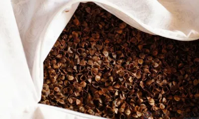 Из Орловской области экспортировано более 5 тысяч тонн гречневой лузги