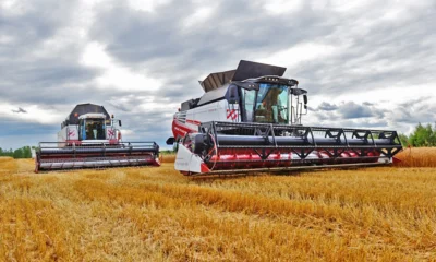Средняя урожайность зерновых и зернобобовых культур на Орловщине превышает 51 ц/га