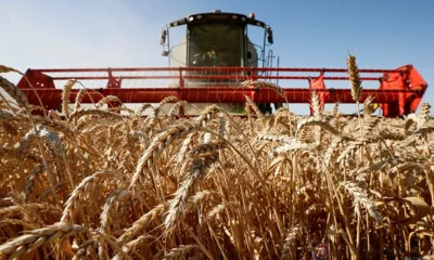 На развитие АПК Орловщины в 2022 году направят более 1,7 млрд рублей