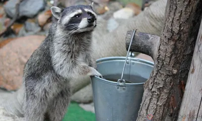 В Северном районе Орла два дня подряд будут отключать горячую воду