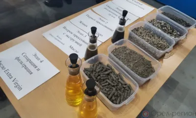 В Малоархангельском районе запустили производство масел