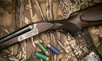 Орловец нашёл в Медведевском лесу охотничье ружьё