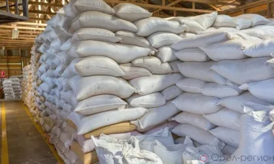 Орловская и Курская области экспортировали более 17 тыс. тонн пшеничной муки