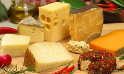 За 9 месяцев 2023 года на Орловщине произвели почти 9 тонн сыра