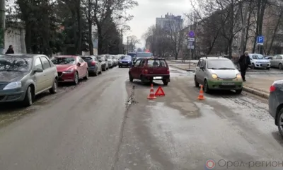 Орловец, перебегавший дорогу в неположенном месте, попал под колёса «Оки»