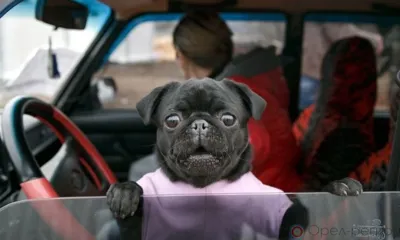 В Орле с 13 ноября перекроют участок дороги по ул. 3-й Курской