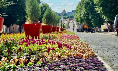 Фото 1. В Орле продолжают украшать городские клумбы