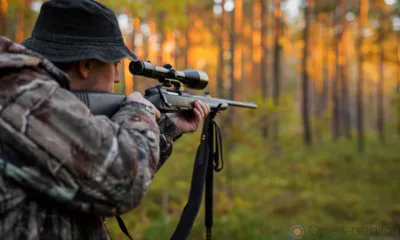 Орловский райсуд приговорил курского охотника к полутора годам ограничения свободы за убийство