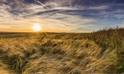 Орловцев ждёт жара и опасное агрометеорологическое явление