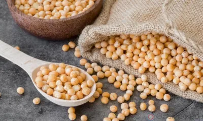 В Орловскую область ввезли около 100 тонн семян из Белоруссии