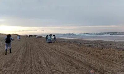 Волонтёры со всей страны спасают побережье Анапы, среди них и волонтёр из Орла Наталия Макеева