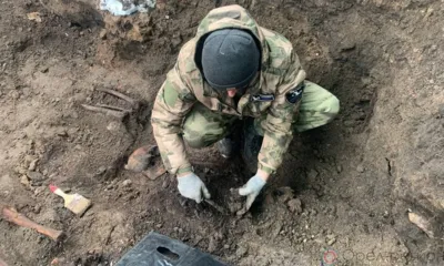 Орловским СК по факту обнаружения 30 скелетов времён ВОВ возбуждено уголовное дело