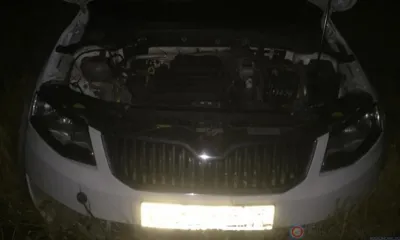 В Орловской области Skoda Octavia вылетела в кювет