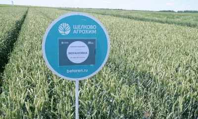 «Зюгановка» себя покажет!