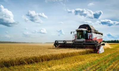 На Орловщине намолотили 3 миллиона тонн зерна