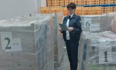 Орловщина увеличила экспорт молочной продукции в десятки раз