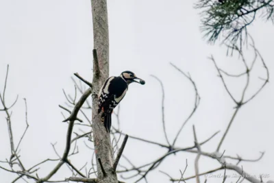фото Светланы Шавыкиной