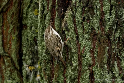 фото Светланы Шавыкиной