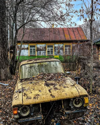 Фото 15. Известный блогер и наш земляк Алексей Ушаков стал одним из героев программы «Привет, Андрей!»