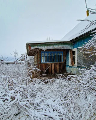 Фото 17. Известный блогер и наш земляк Алексей Ушаков стал одним из героев программы «Привет, Андрей!»
