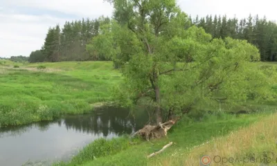 В Орловской области в суд передали дело о гибели двух школьников