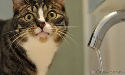 В Орле пополняется список домов с плановым отключением водоснабжения