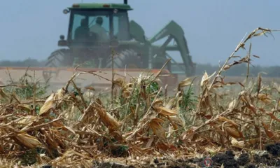 Губернатор сообщил о введении на Орловщине режима ЧС в АПК