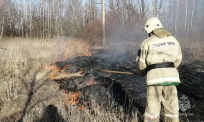 На Орловщине горело 15 гектаров сухой травы