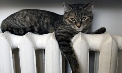 Отопление в дома Советского района Орла вернётся в течение часа