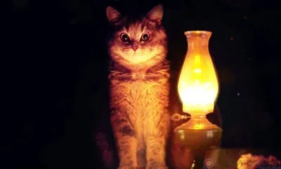 В Орле сегодня четыре улицы останутся без электричества