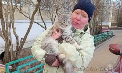 В Мценске спасатели сняли кота с дерева