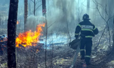 В Болховском районе введён особый противопожарный режим