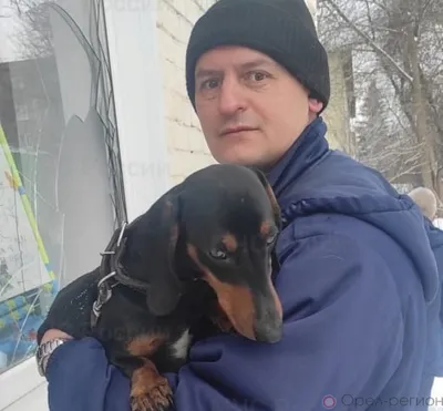 В Орле собака оказалась заперта в доме под снос