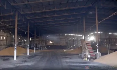 На Орловщине обнаружено около 90 тонн зерна, не соответствующего госстандартам