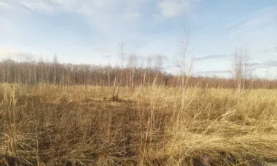 Орловский Россельхознадзор выявил более 160 га заброшенных земель