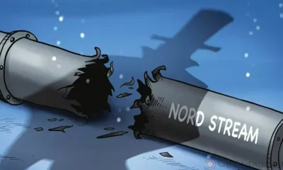 Американская шняга