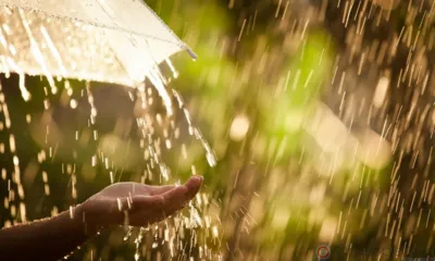 Лето на Орловщину придёт вместе с грозами