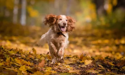 Орловцев ждут тёплые и солнечные выходные