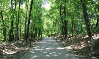 Жители Орла могут выбрать территории для благоустройства в 2026 году